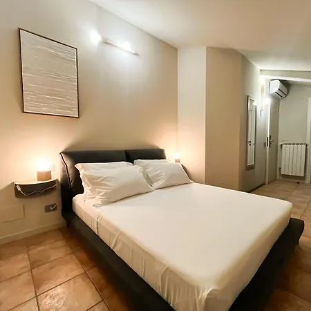 Hotel Alnus *