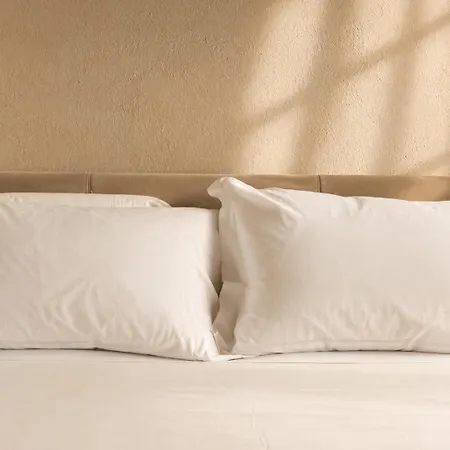 Hotel Alnus